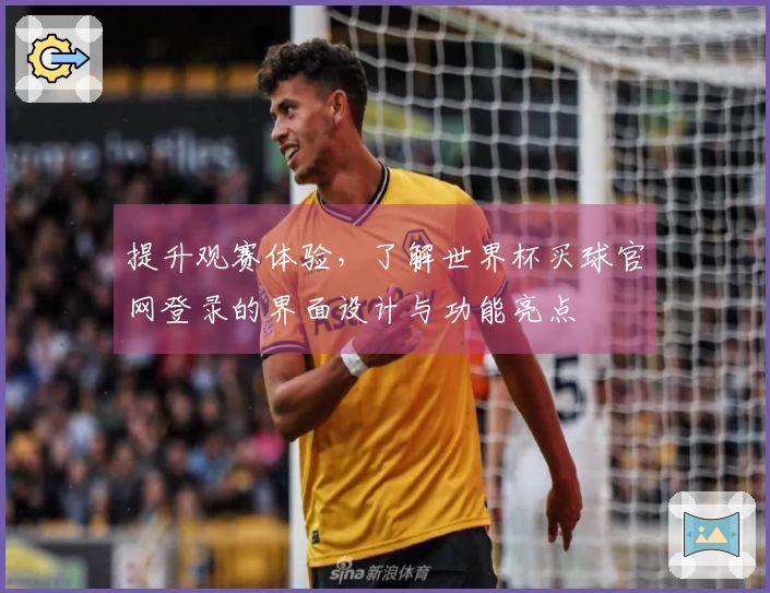 提升观赛体验，了解世界杯买球官网登录的界面设计与功能亮点