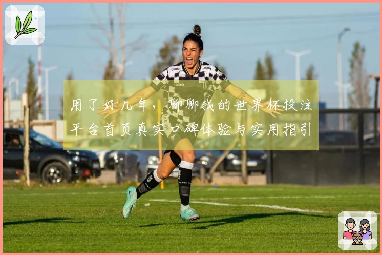 用了好几年，聊聊我的世界杯投注平台首页真实口碑体验与实用指引