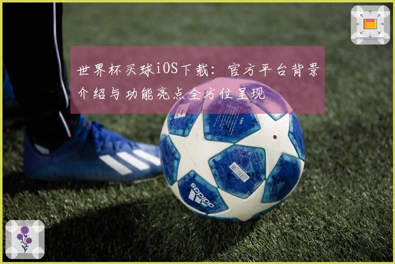 世界杯买球iOS下载：官方平台背景介绍与功能亮点全方位呈现