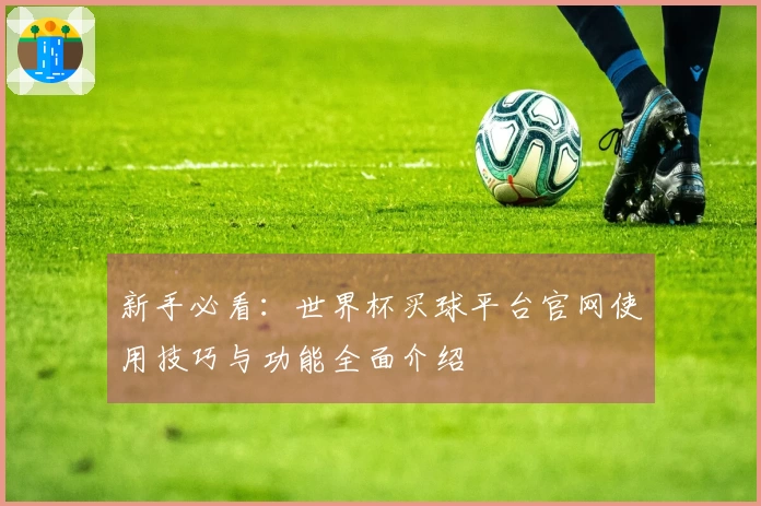 新手必看：世界杯买球平台官网使用技巧与功能全面介绍