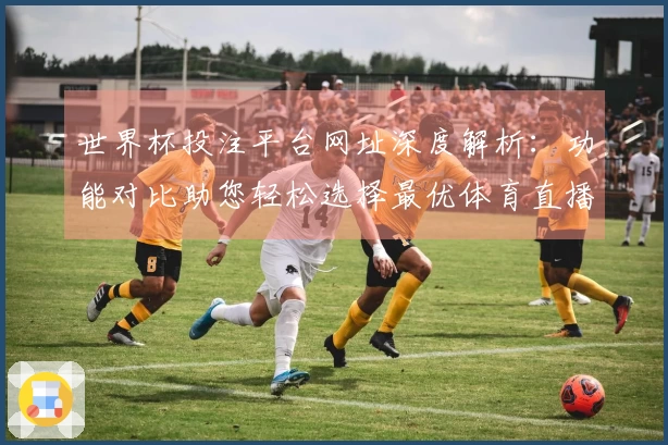 世界杯投注平台网址深度解析：功能对比助您轻松选择最优体育直播入口