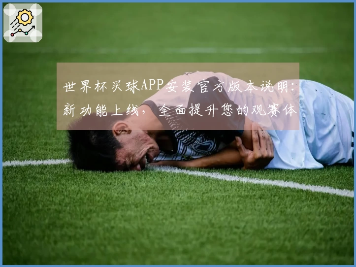 世界杯买球APP安装官方版本说明：新功能上线，全面提升您的观赛体验
